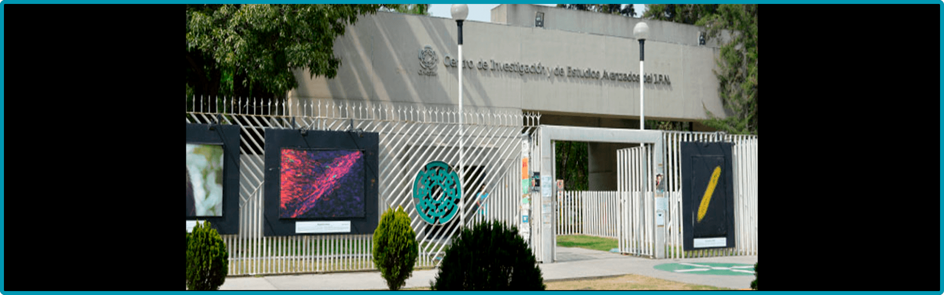 entrada cinves
